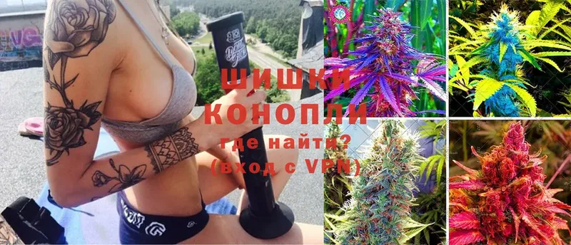 Каннабис SATIVA & INDICA  Краснослободск 